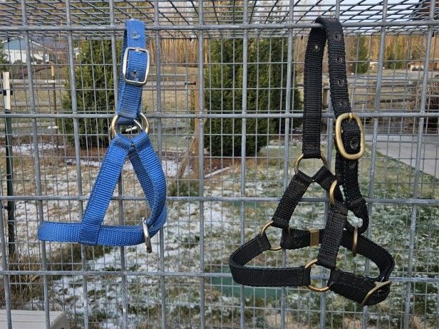 2 Llama Halters - Sizes L & XL