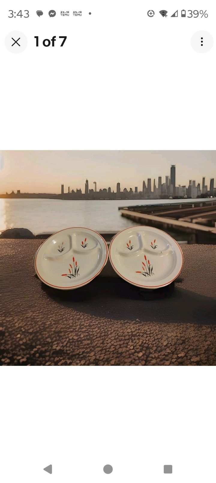 Vintage Sears Roebuck Cat Tail Divided Plates Set of 2 Oven Proof 9.5" 1(contact info removed)