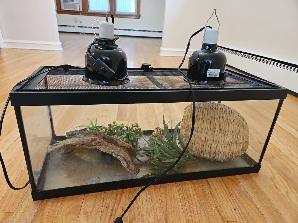 20 Gallon Reptile terrarium