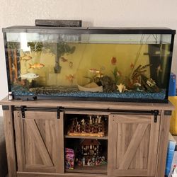 50 Gallon Fish Tank