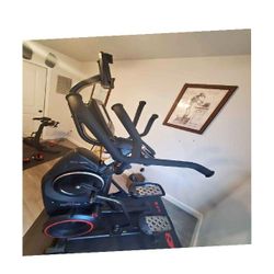 Personal Fitness Treadmill - Stay Physically Fit senior dog