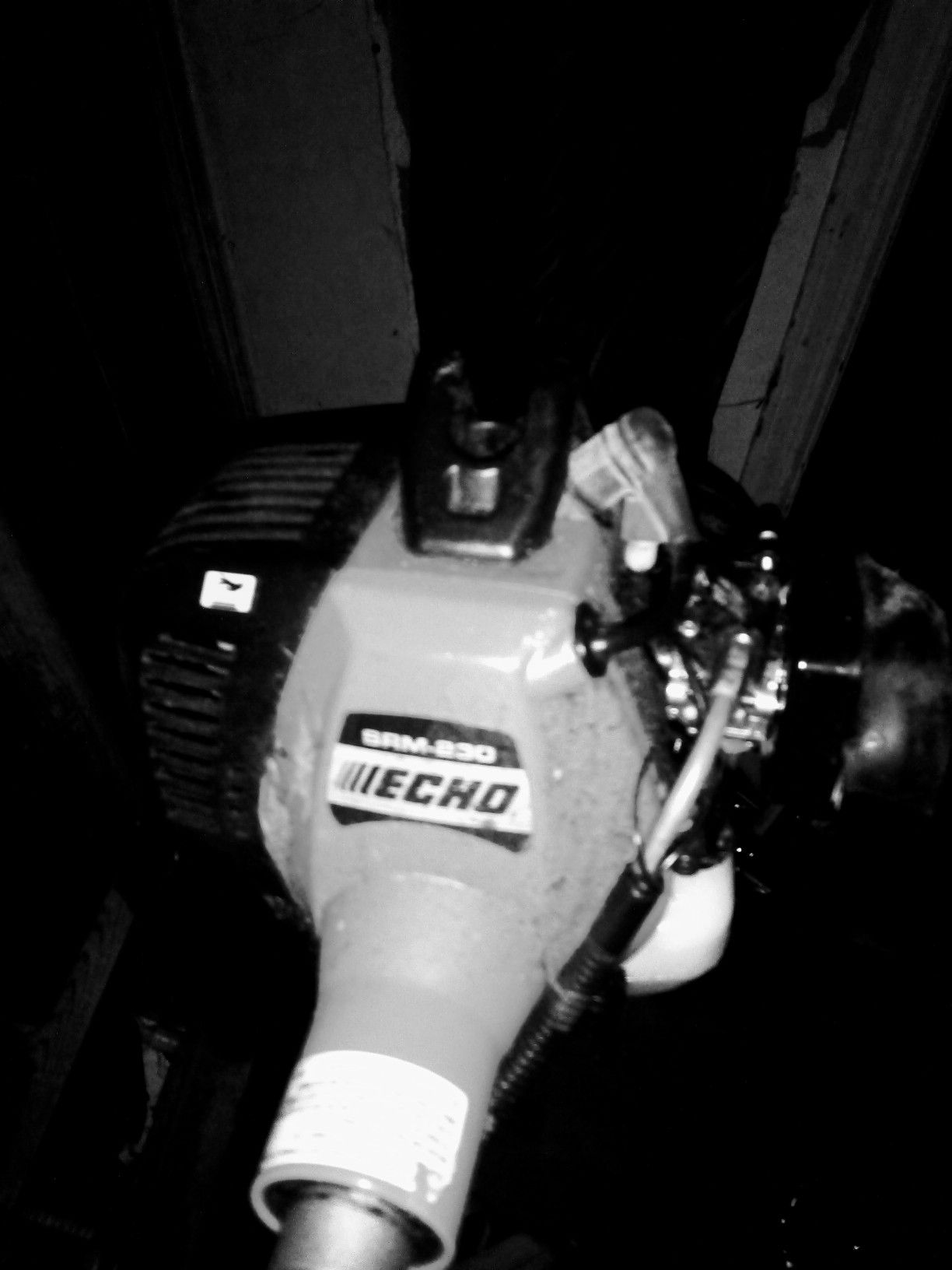 Echo weed eater