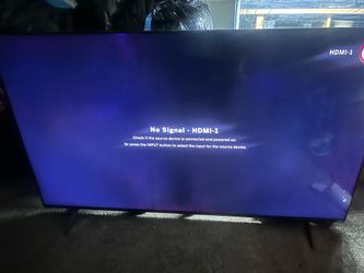 65 Vizio
