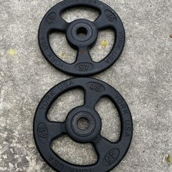x2 45lbs plates