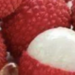 Airlayer  Emperor Lychee Tree. 