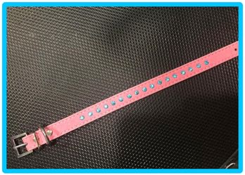Pet suede leather with blue rhinestone collar Brand new.