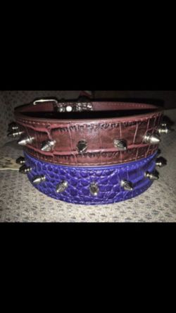 Spiked Dog Collars