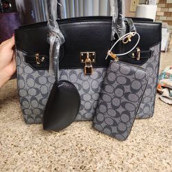 Purse And Wallet Set