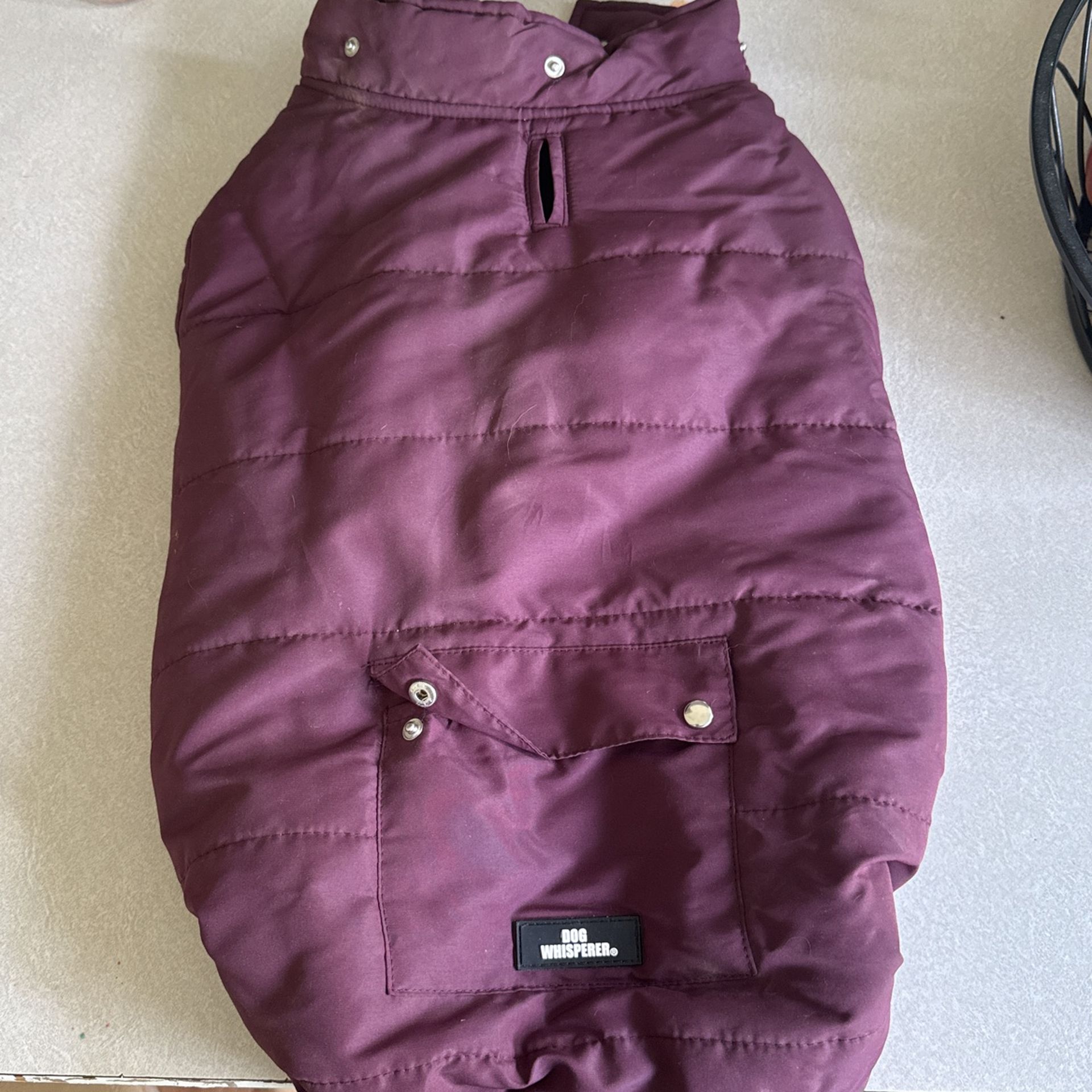 Dog Whisperer Jacket