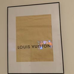 Louis Vuitton Dust Bag Framed