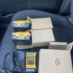 DeWalt (2) 20 Volt 5 AH Batteries DCB205 With Charger DCB1104 New Open Box