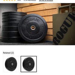 Bumper Plates