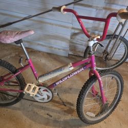20 inch bmx wildflower coaster powered by GT