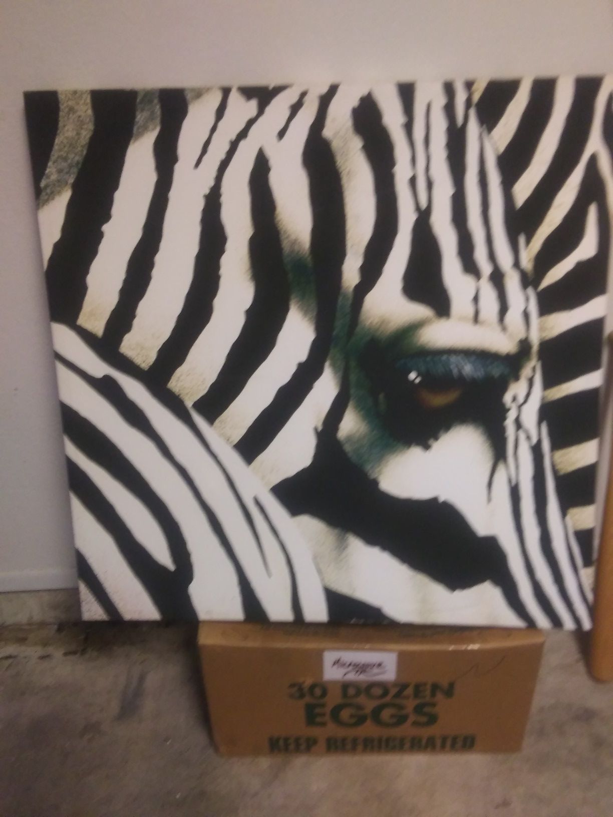 Zebra photo art