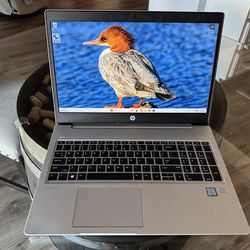 HP ProBook 450 G6 laptop
