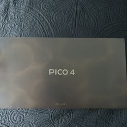 Pico 4 (8G + 256G)