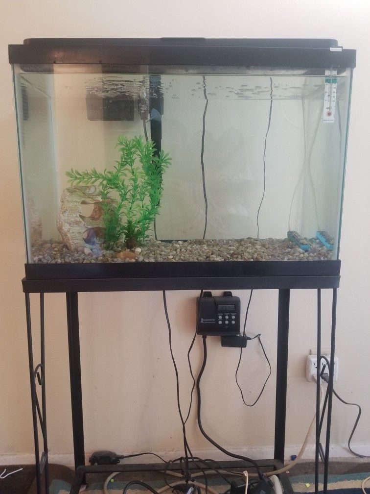 Fish Tank 20 Gallons 