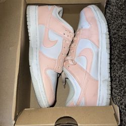 NIKE Dunks Size 7