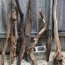 Drift And Cypress Wood