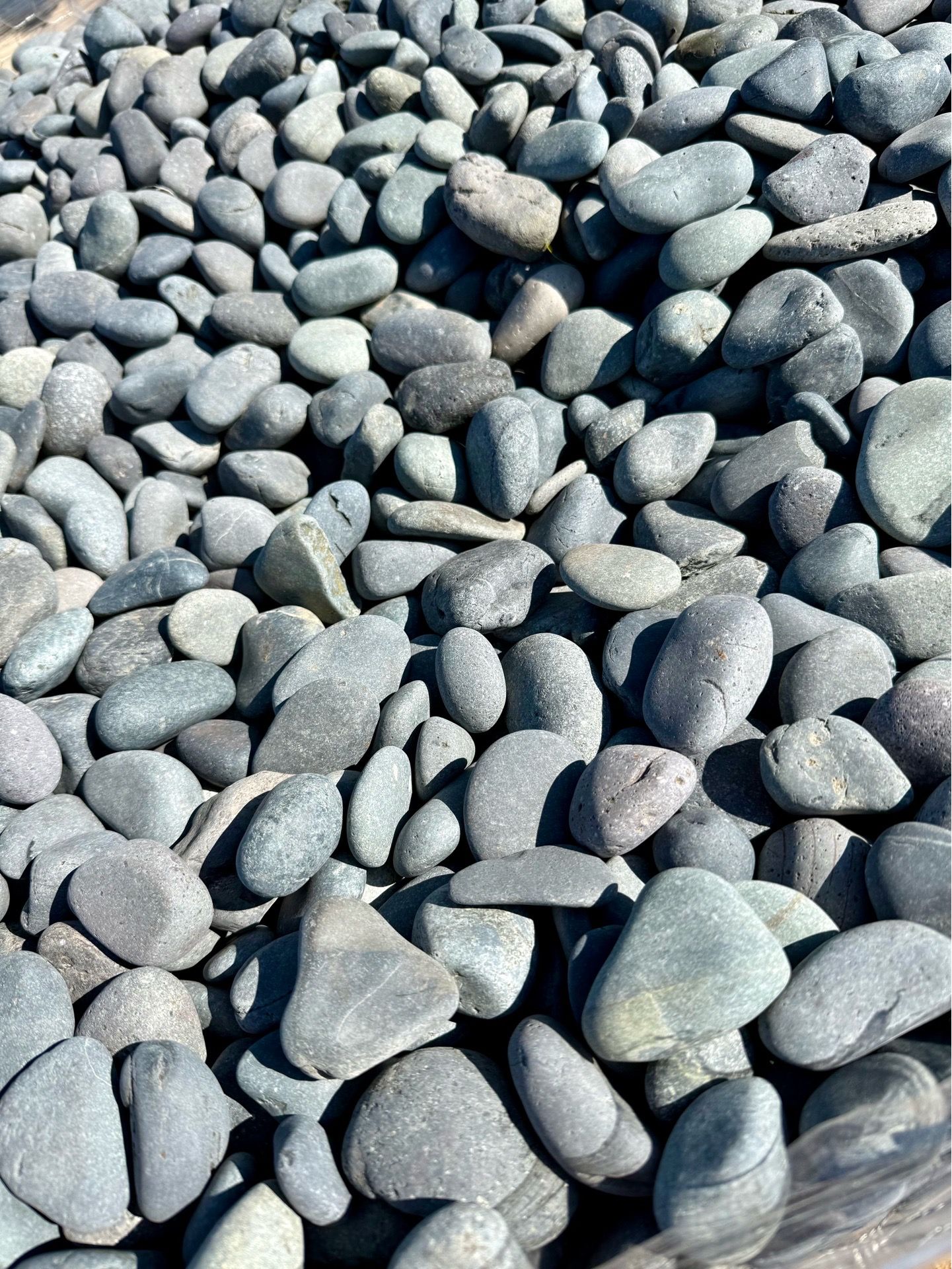 40lb bags - Blueberry beach pebbles 1-2โ