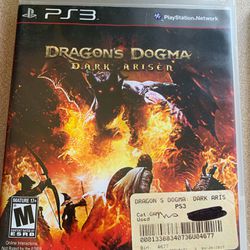 Burnout Paradise And Dragon’s Dogma (PS3 Games)