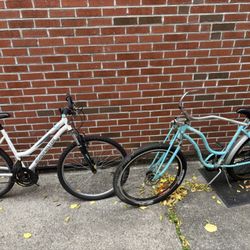 Roadmaster And Schwinn DX