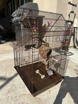 Bird Cage