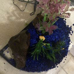 3.5 Gal Fish Tank