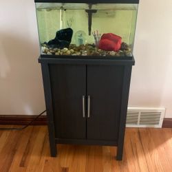 Fish Tank And Stand