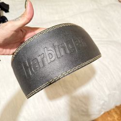 Lifting Belt