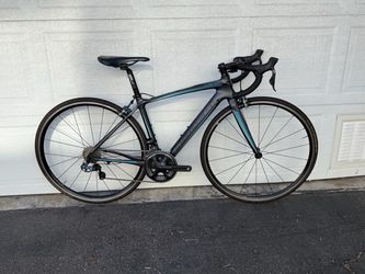 Blanchi Intenso - 47cm