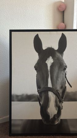 Vintage Horse frame Large