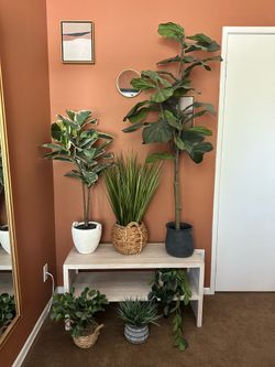 Various FAKE plants
