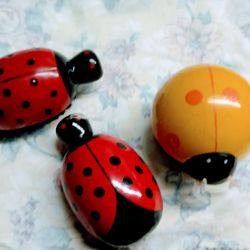 Ladybug 🐞 brush Bundle Of 3