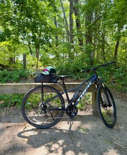 Trek Dual Sport - S