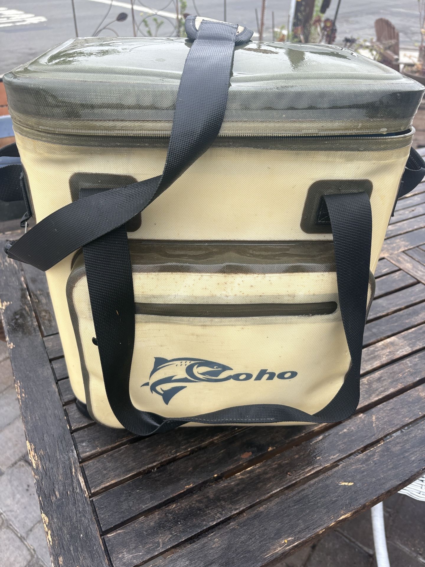 Coho cooler fishing