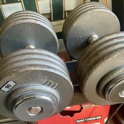 90 Pound Dumbbells