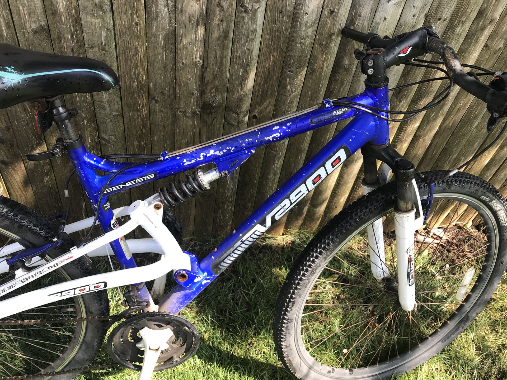 aggressive hardtail frame