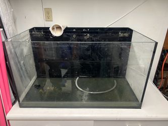 Jbj 65 gallon fish tank