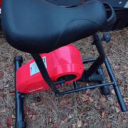 Rodeo coar exercise machine