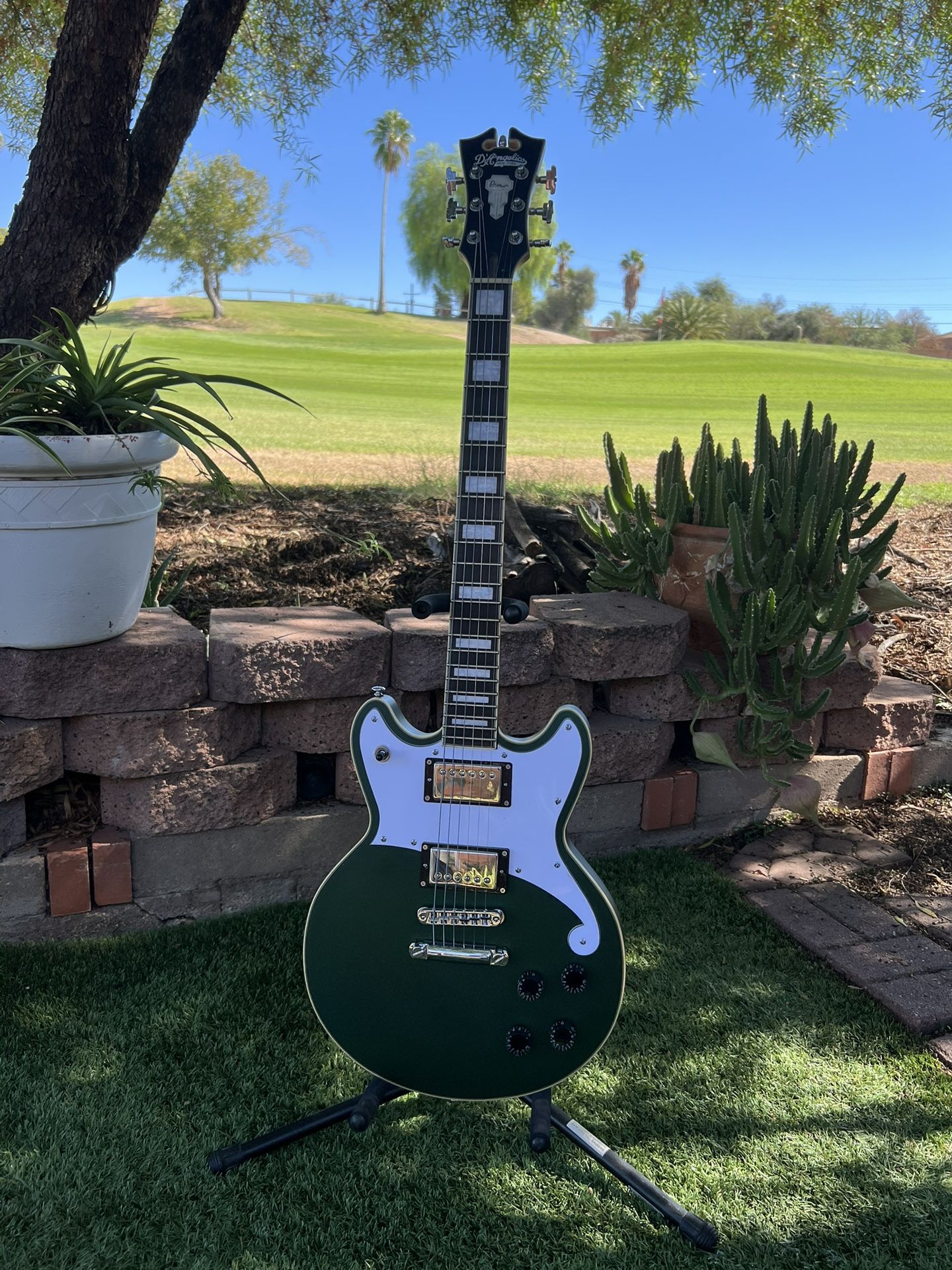D’Angelico Premier Brighton In Sherwood Green