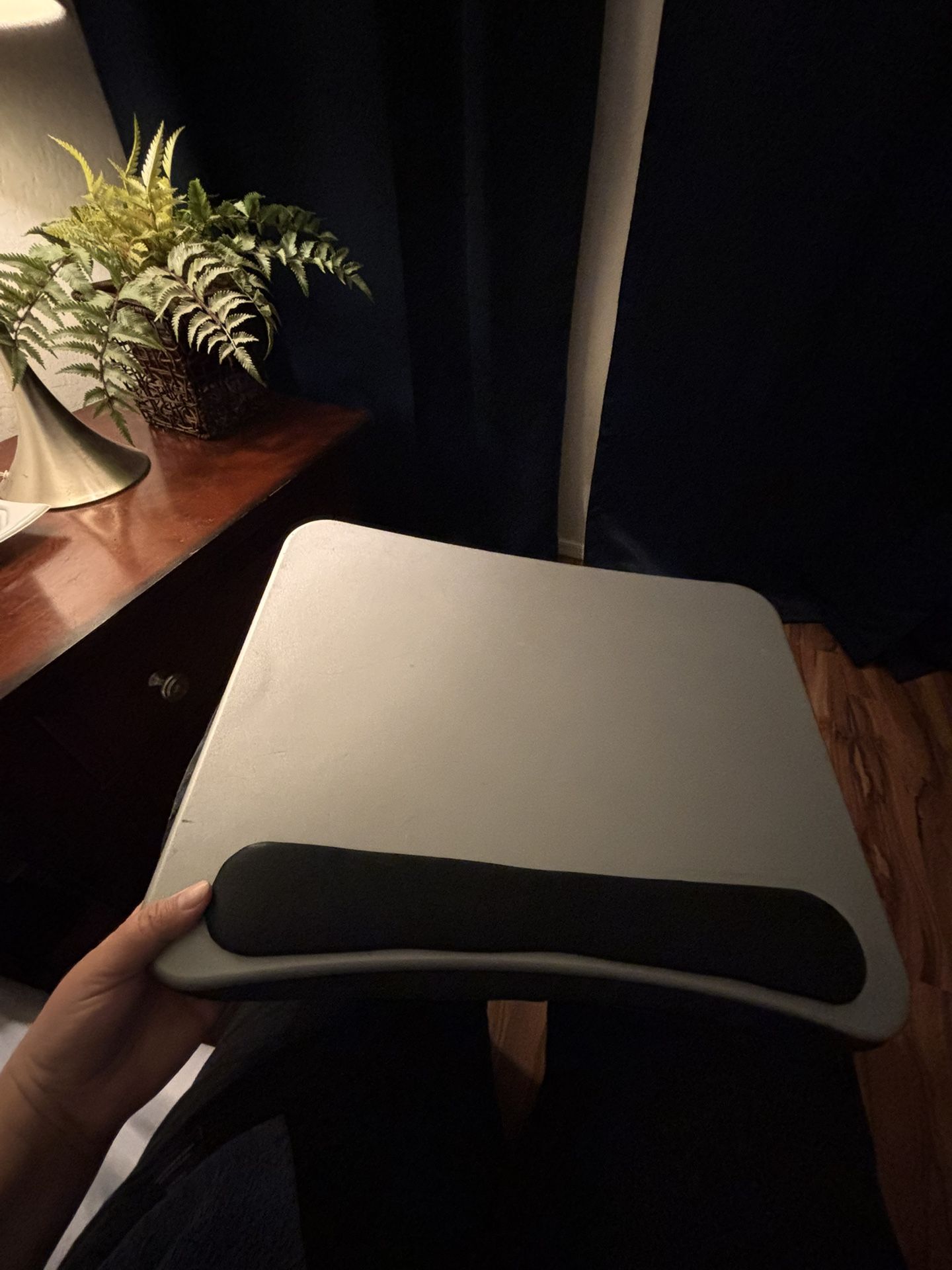 Laptop Computer Lap Tray With Cushion Back