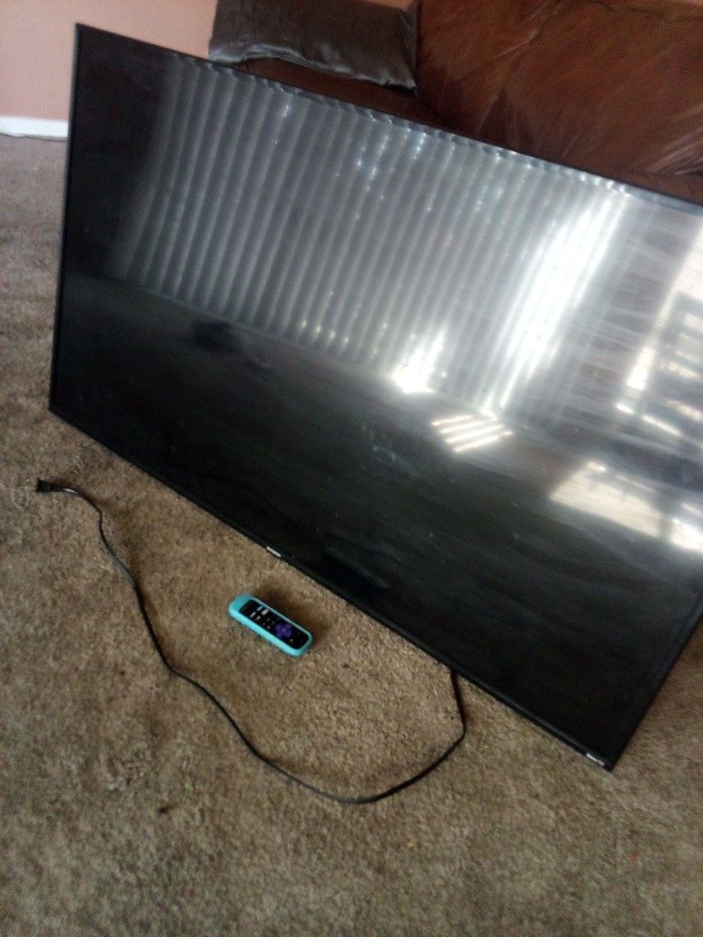 55" Flat Screen