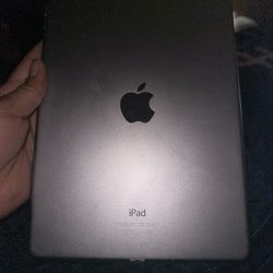 iPad Please Read Details