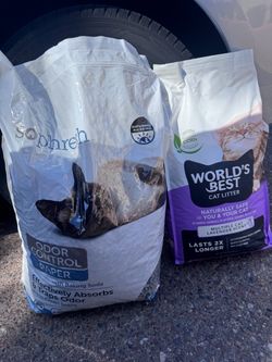 Cat Litter