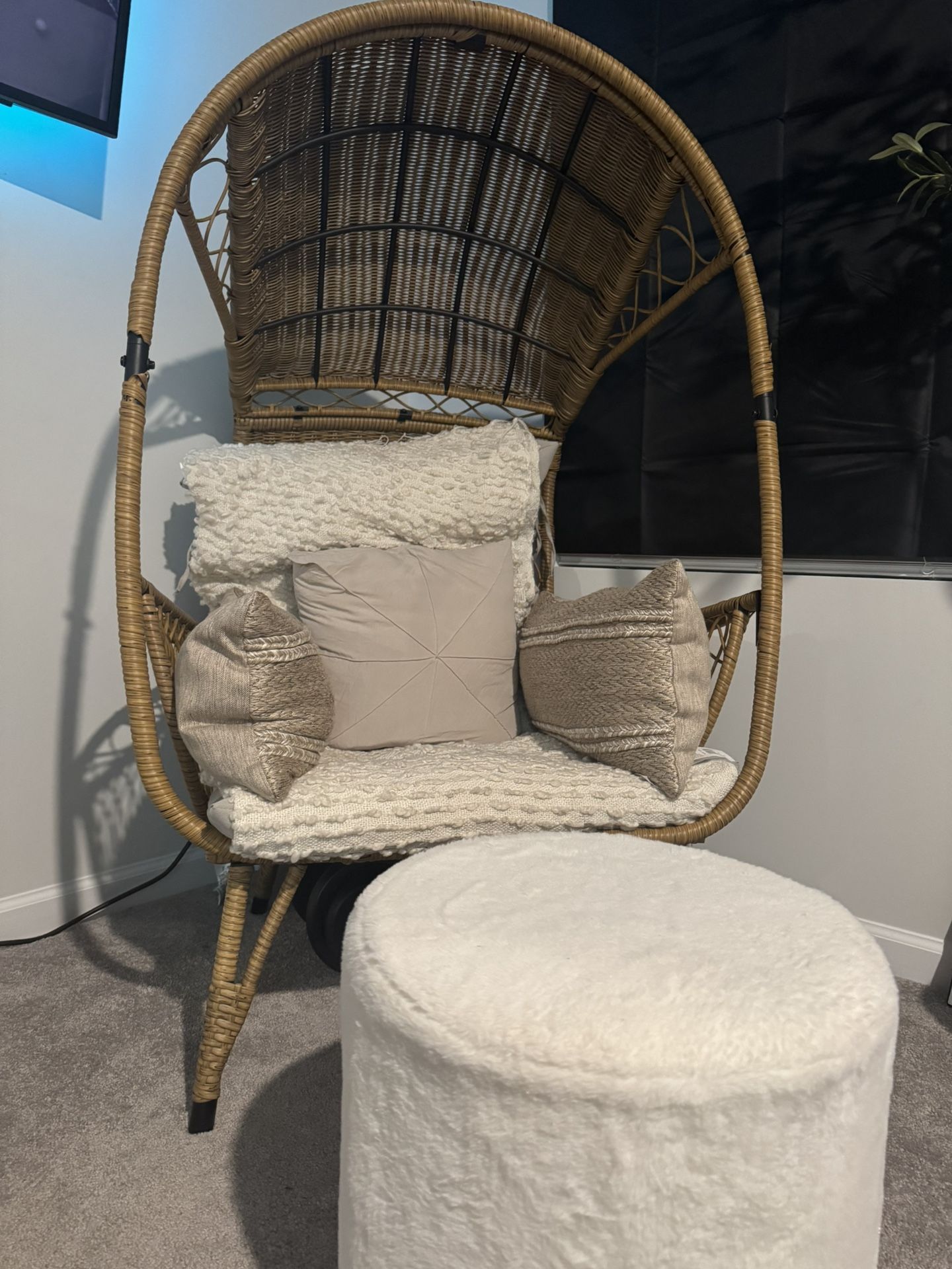 Egg Chair + Pillows + Ottoman