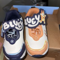 bluey Shoes