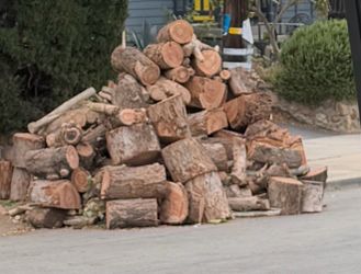 Freshly cut wood available today