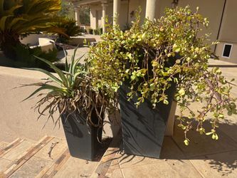 Large Dark Gray Tapered Outdoor Planters Set of 2