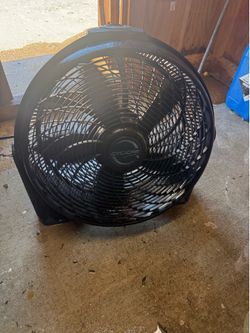 Fan